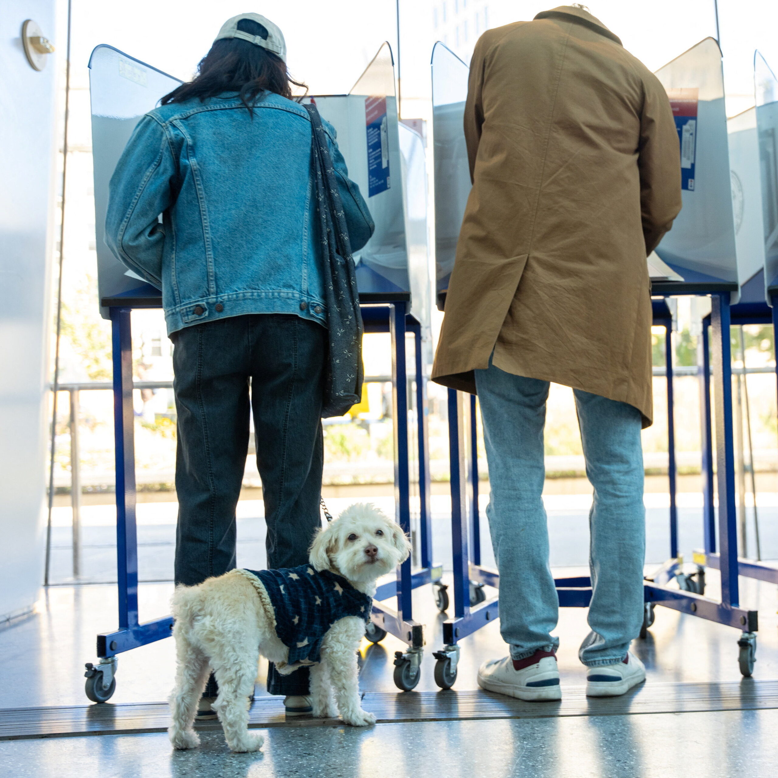 Three voters with their backs turned to the camera casting their ballots to vote